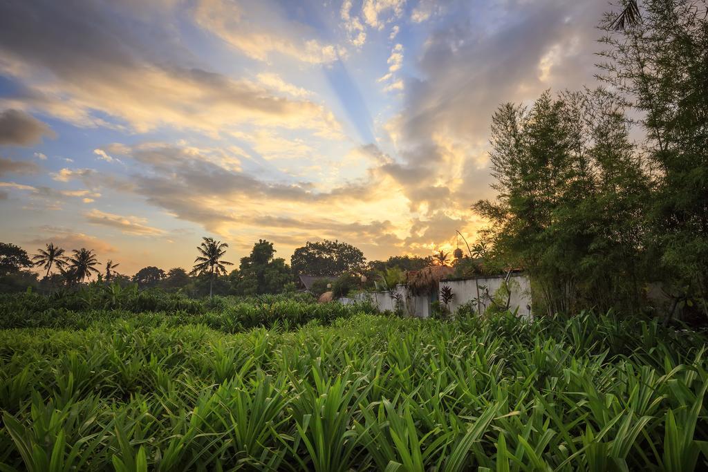 The Pandan Tree Villas Canggu Buitenkant foto