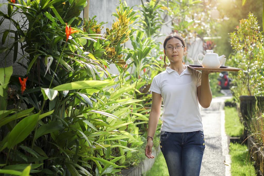 The Pandan Tree Villas Canggu Buitenkant foto
