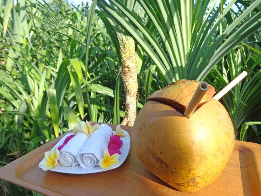 The Pandan Tree Villas Canggu Buitenkant foto
